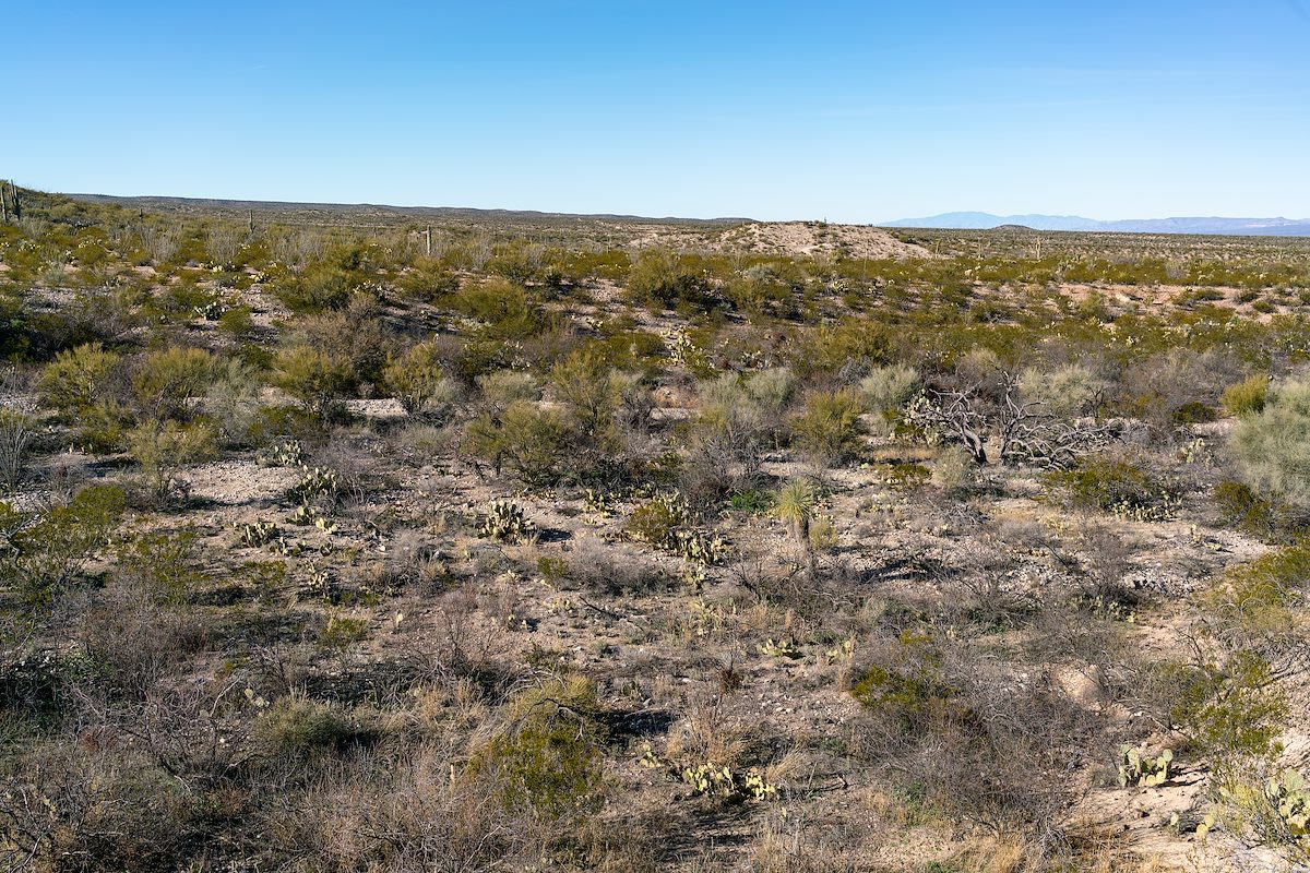 2019 January Looking NW along the SunZia Route