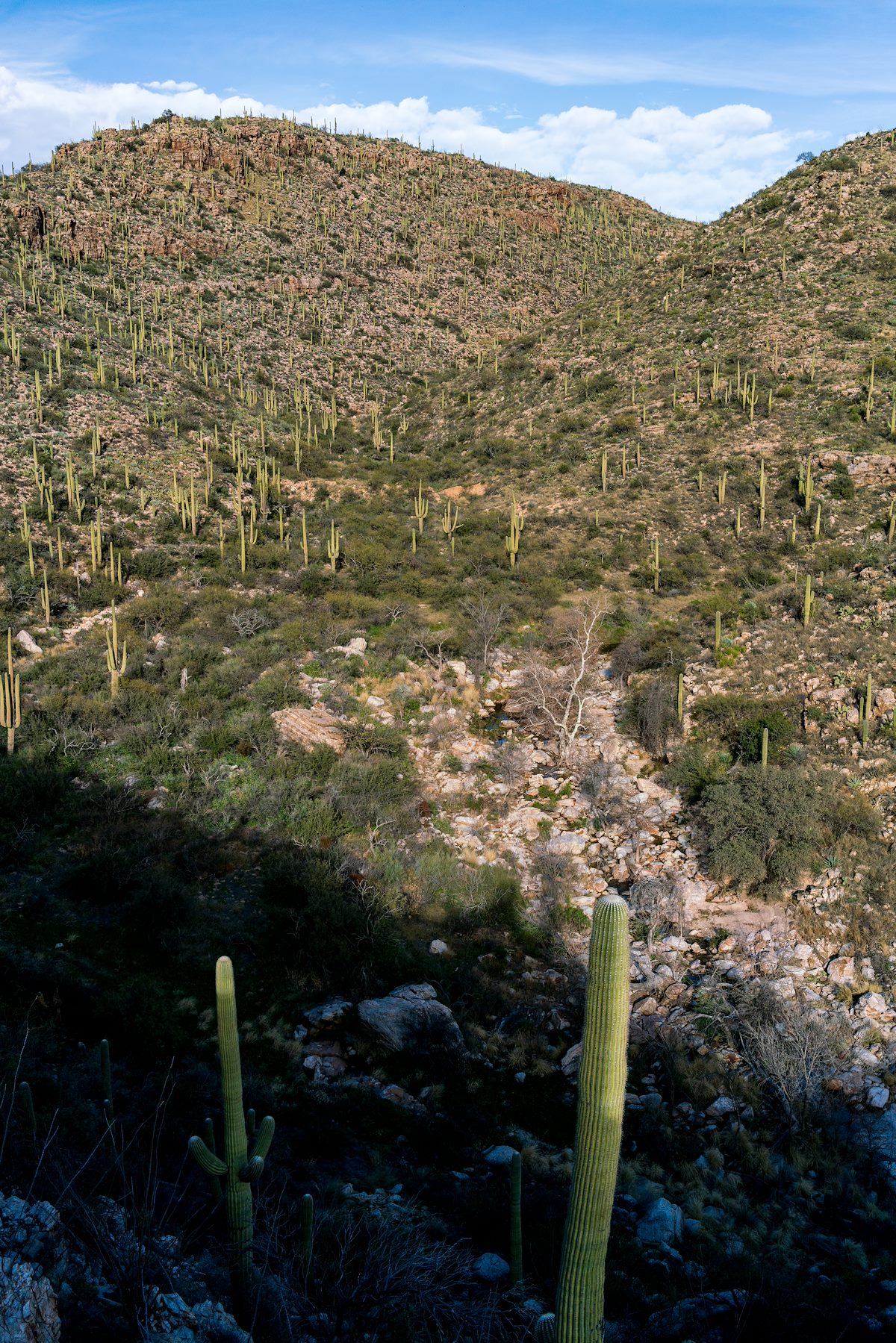 2019 January Mud Tank Area