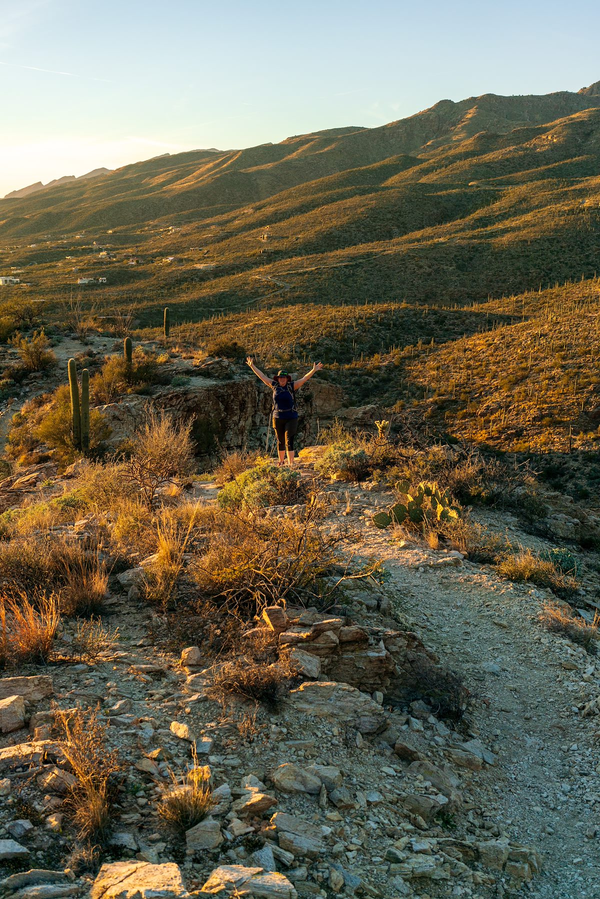 2019 January On the Agua Caliente Canyon Trail