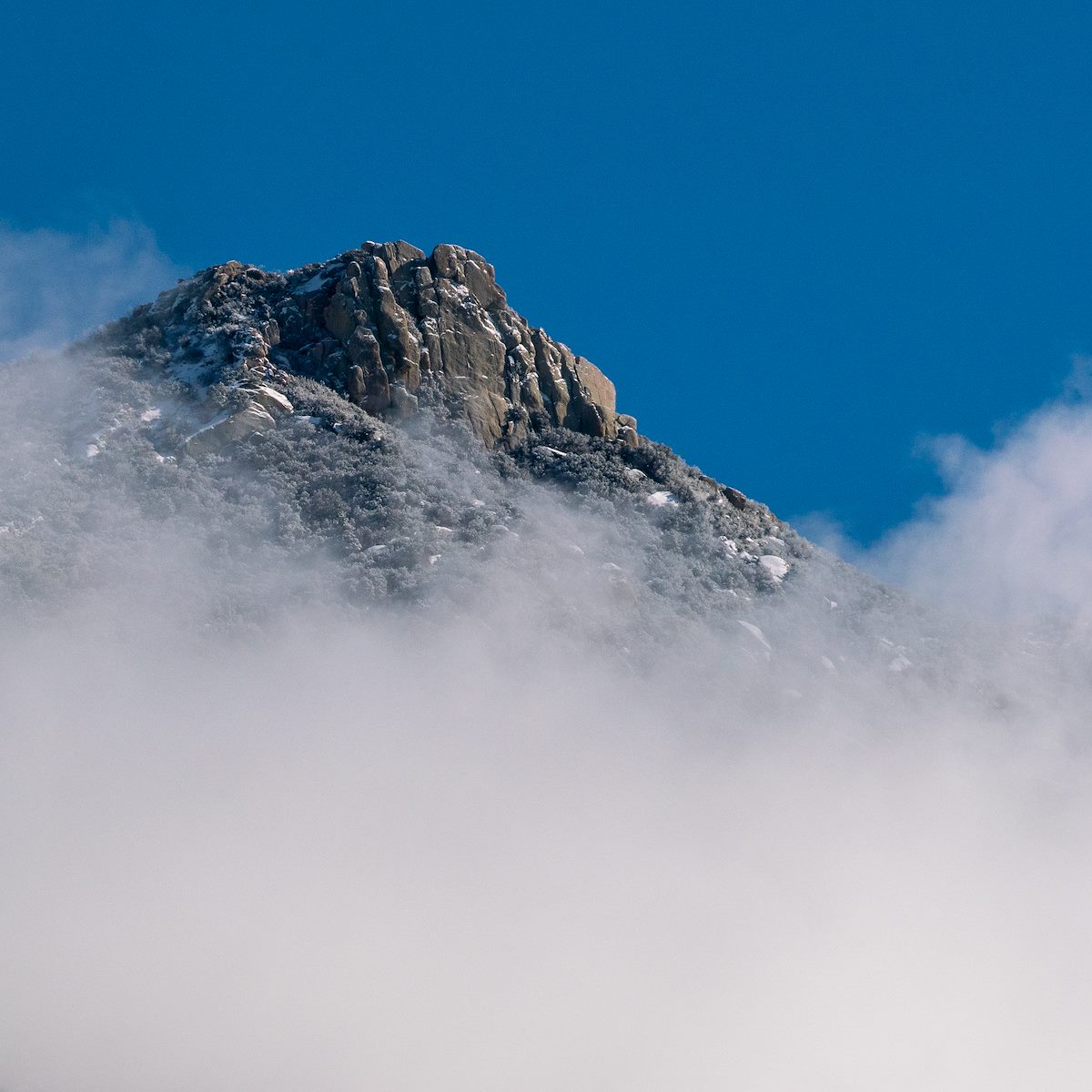 2019 January Samaniego Peak Close Up