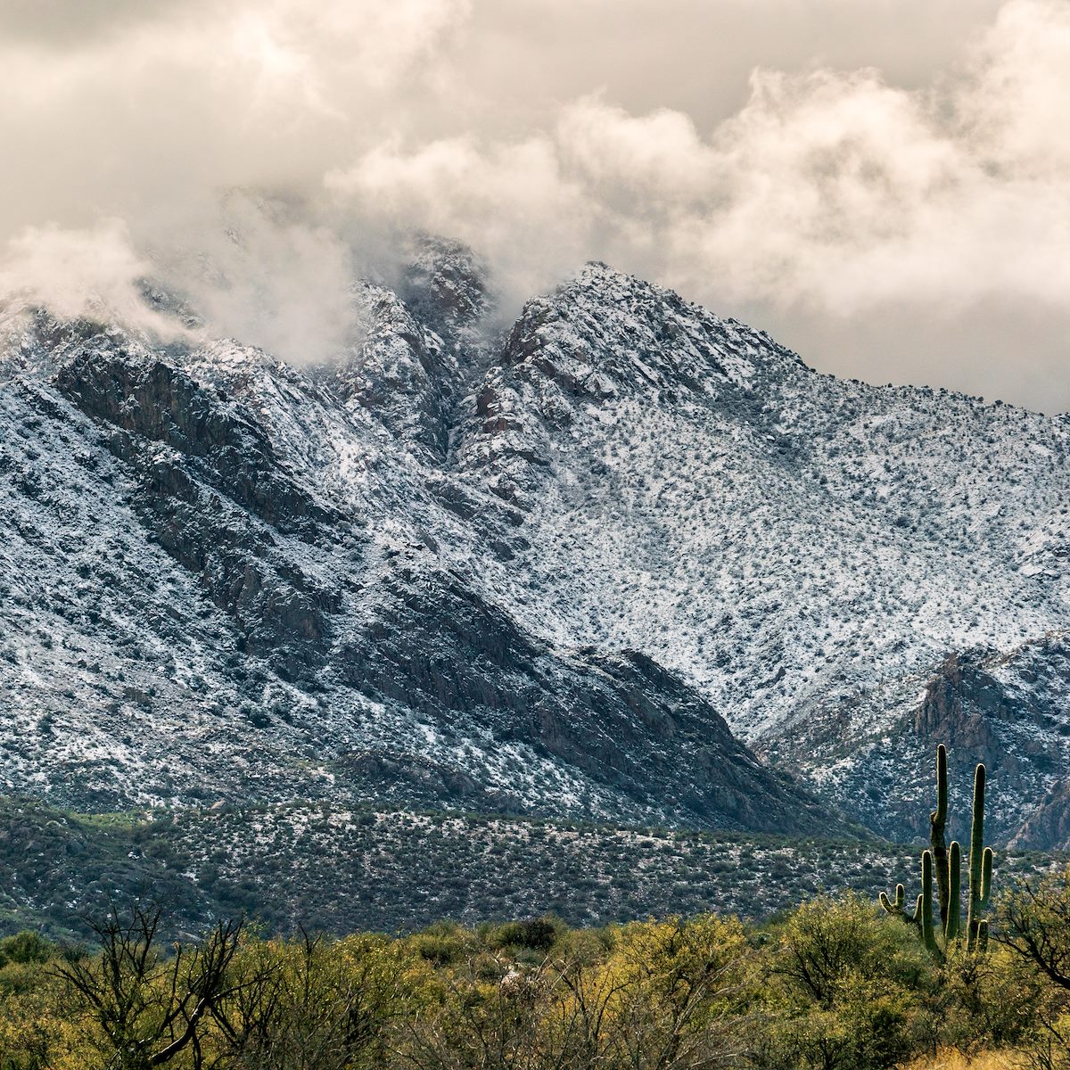 2019 January Snow and Clouds covering the Santa Catalina Mountains