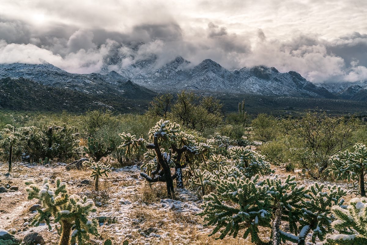 2019 January Snow in the Golder Ranch Area 02