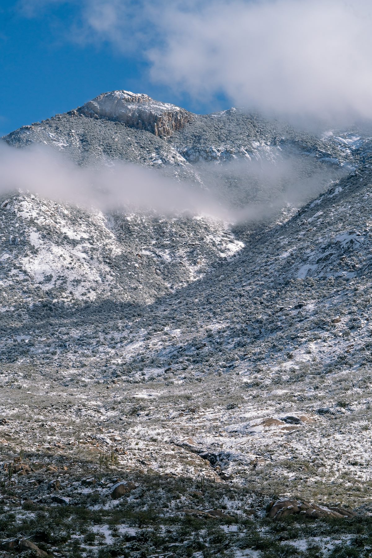 2019 January Snow on Mule Ears