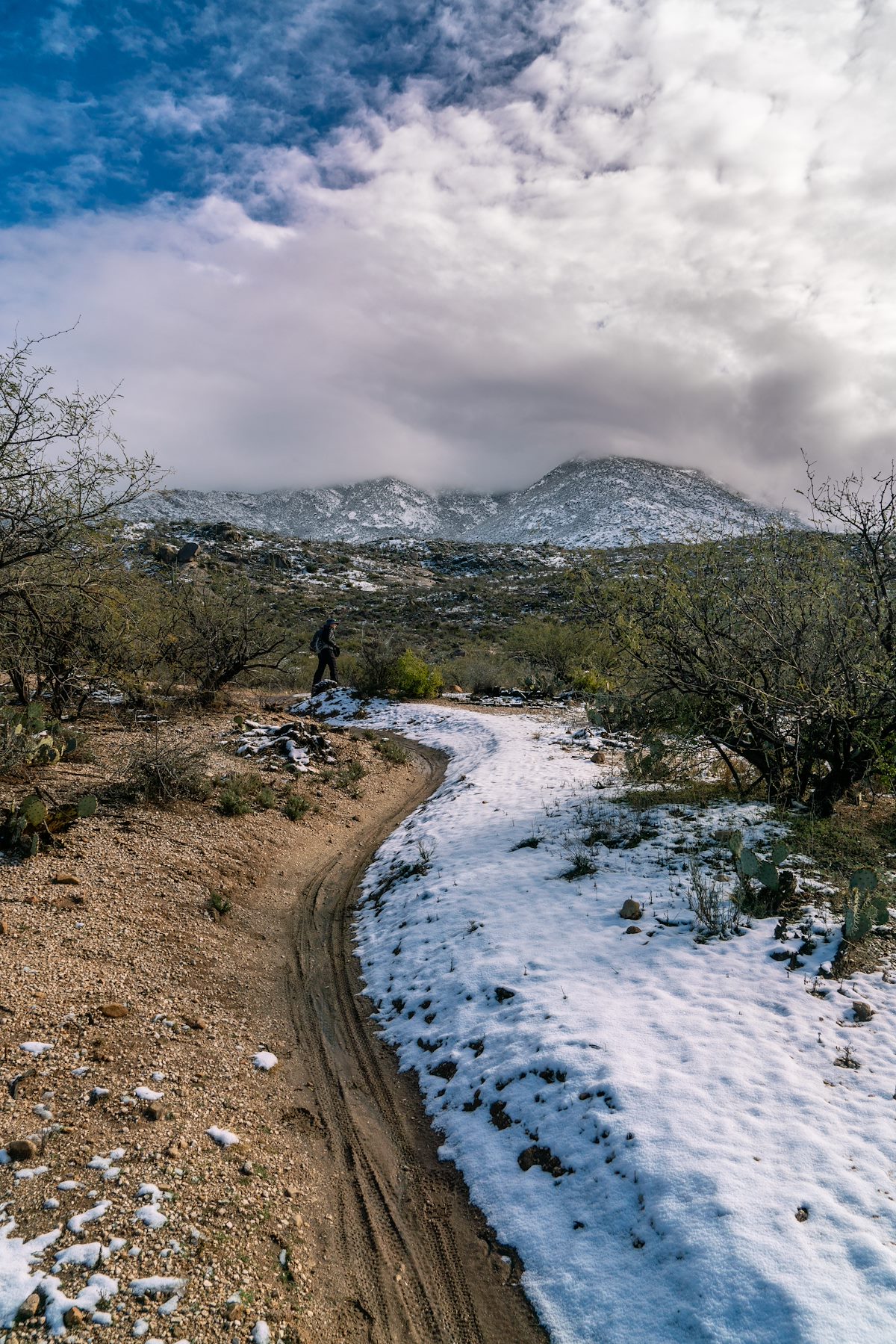 2019 January Snow on the 50 Year Trail
