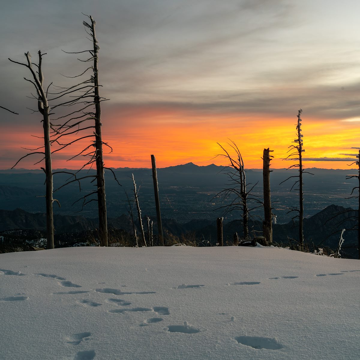 2019 January Sunset from Radio Ridge