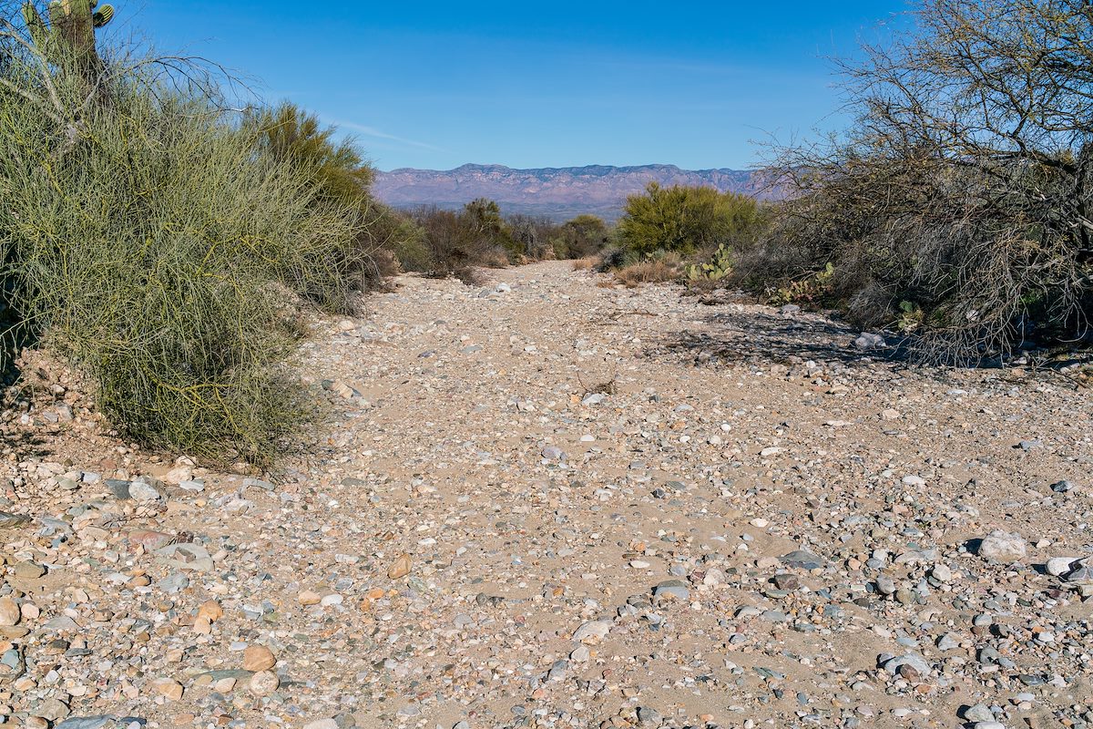 2019 January Unnamed Wash on the SunZia Route