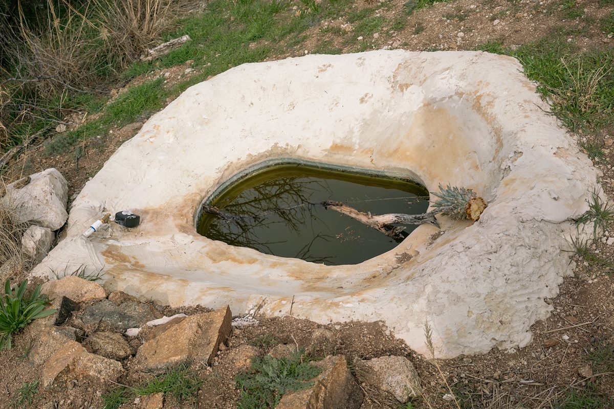 2019 January Water behind the Windmill and Tank on the AZT in Oracle State Park