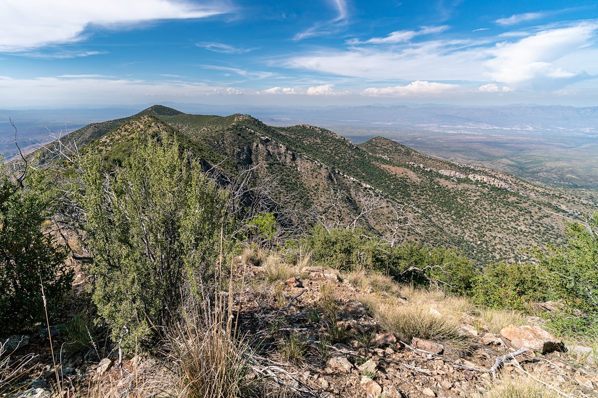 2019 July Looking down Oracle Ridge from Point 7693