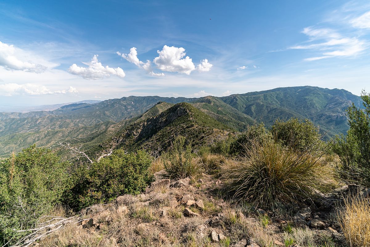 2019 July Looking up Oracle Ridge with Mount Lemmon in the Distance from Point 7693 on Oracle Ridge