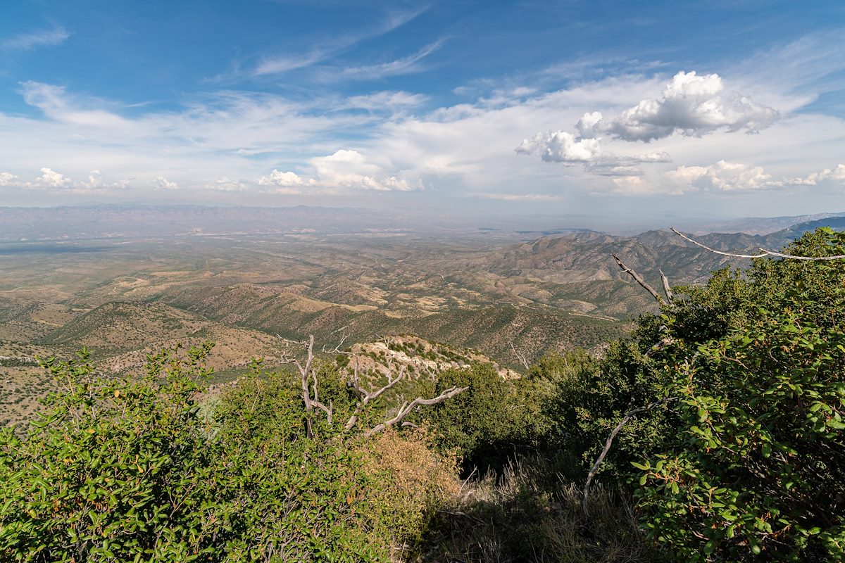 2019 July San Pedro River Valley from Point 7693 on Oracle Ridge