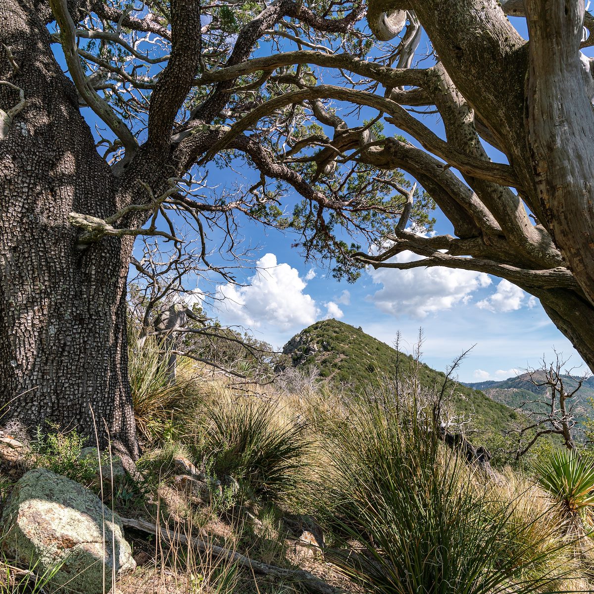 2019 July USLM 2871 in the Distance