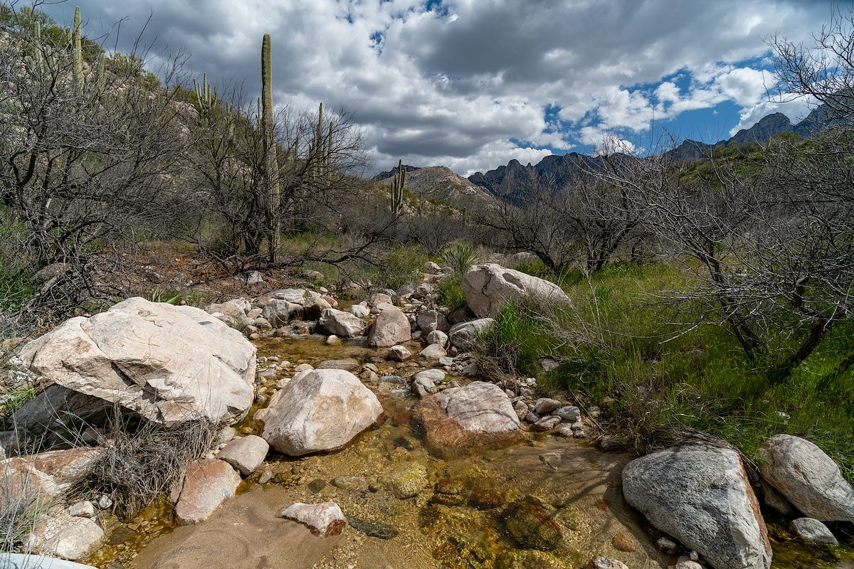 2019 March Alamo Canyon with Buster Mountain in the Background