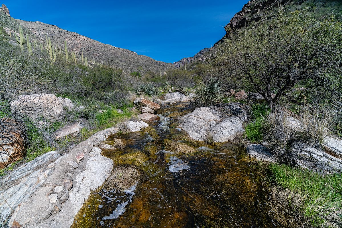 2019 March Flowing water in Pima Canyon