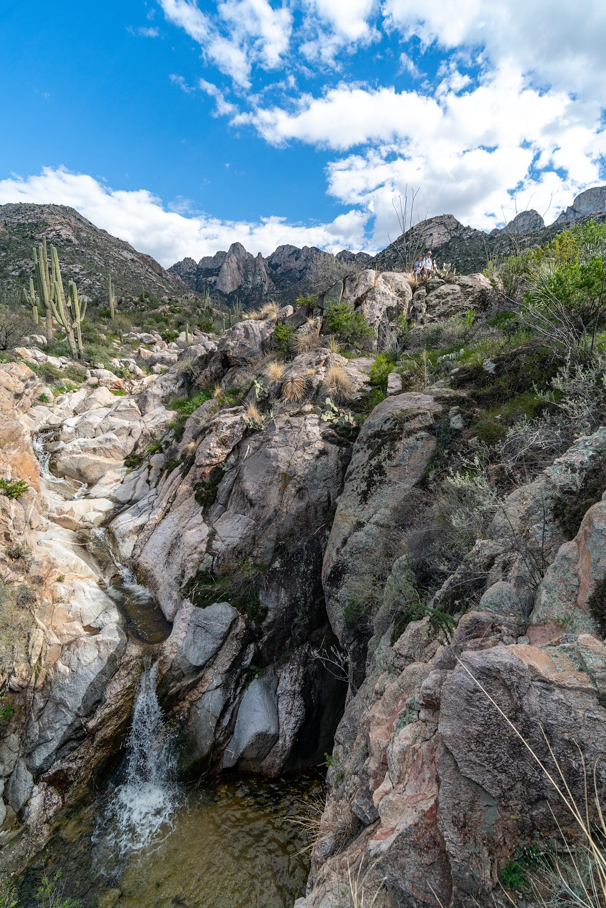 2019 March Sitting above Alamo Canyon