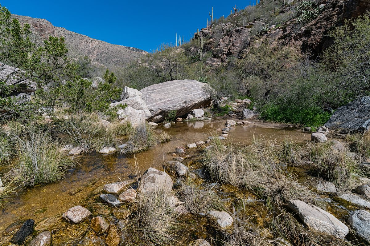 2019 March Water at the first canyon crossing on the Pima Canyon Trail