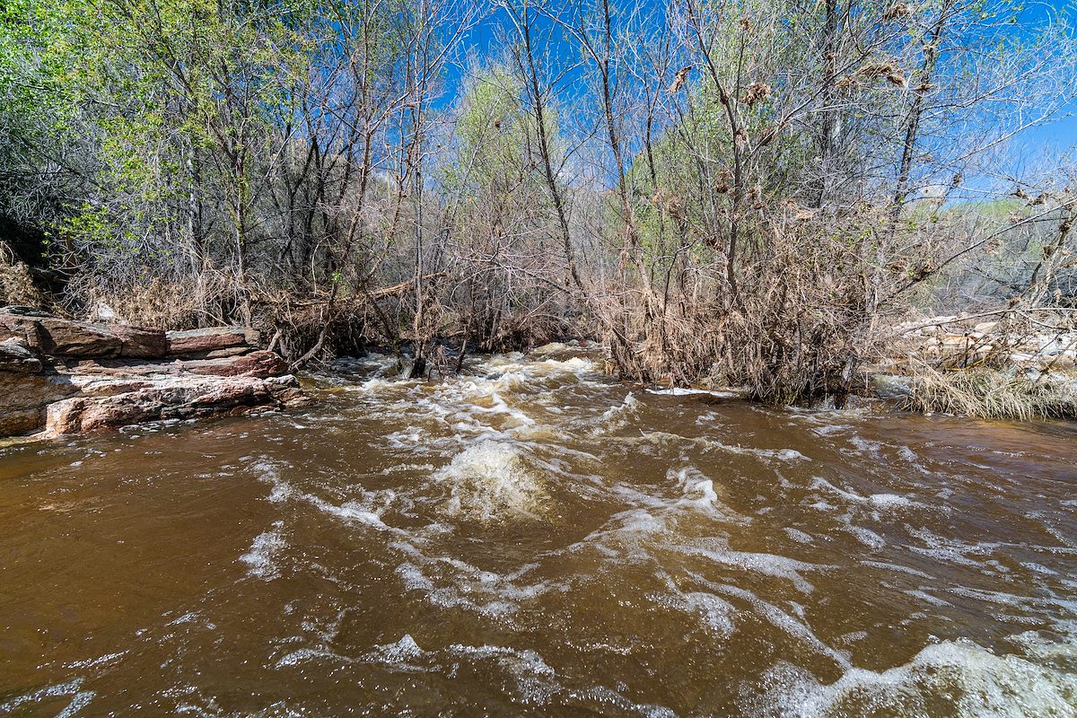 2019 March Water in Sabino Canyon