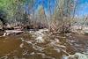 2019 March Water in Sabino Canyon