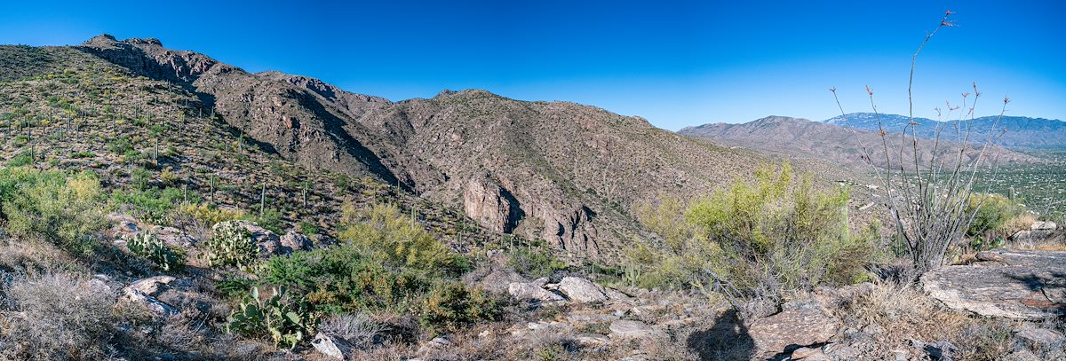 2019 May A View from the Mercer Marker Area