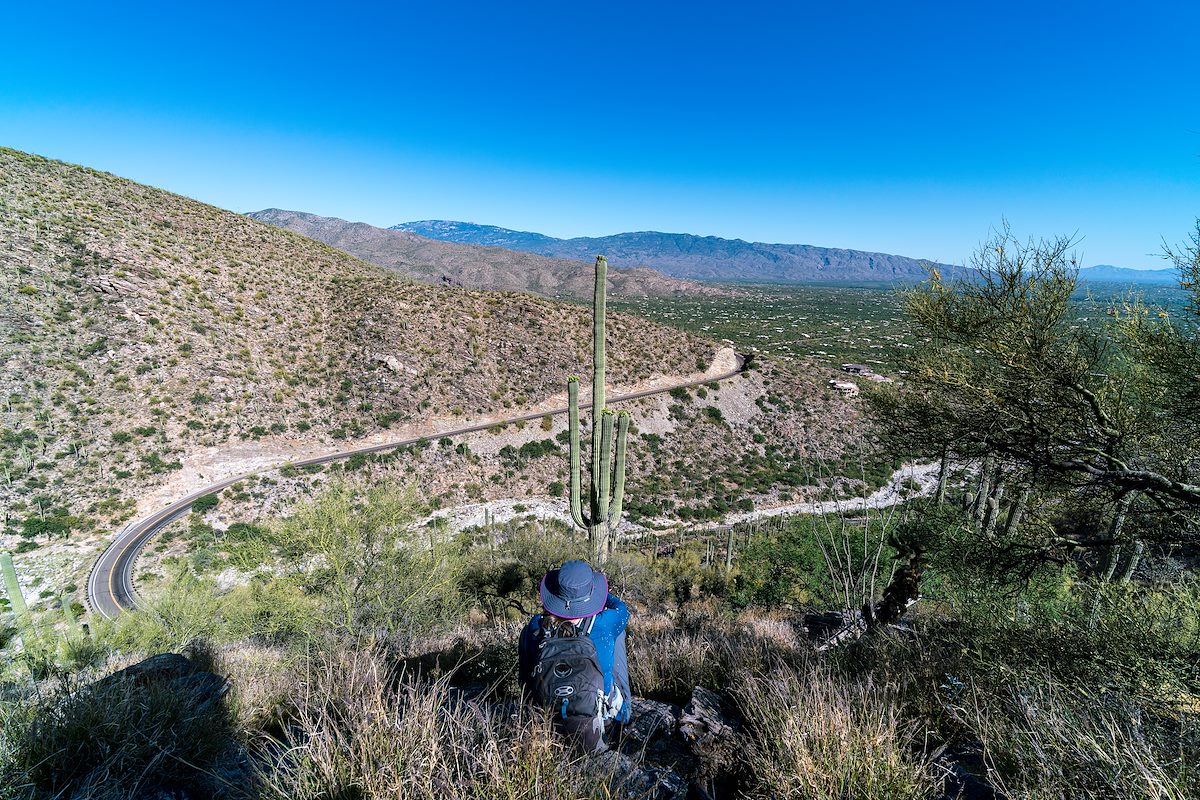 2019 May Above the General Hitchcock Highway at the Mercer Markers