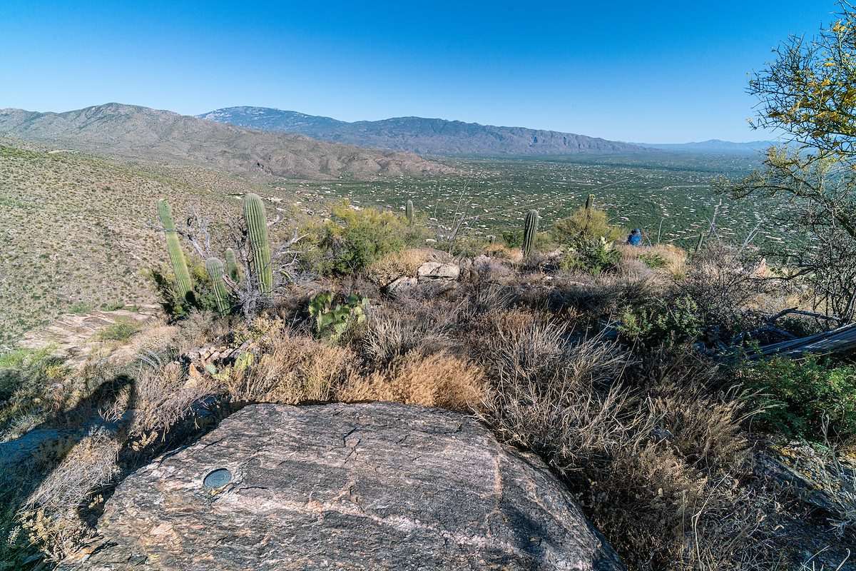 2019 May Agua Caliente Hill and the Rincons from one of the Mercer Markers