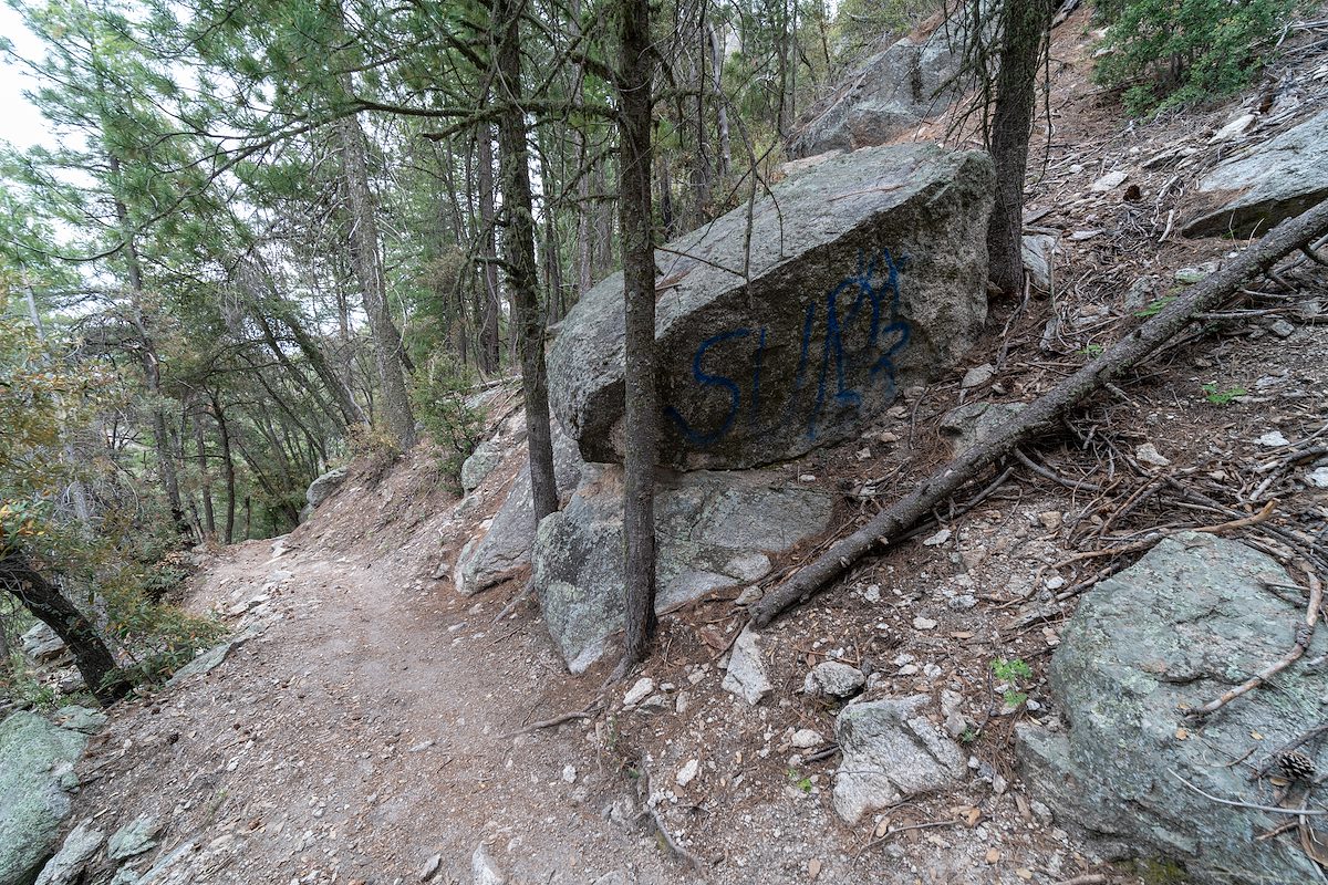 2019 May Graffiti on the Green Mountain Trail 01