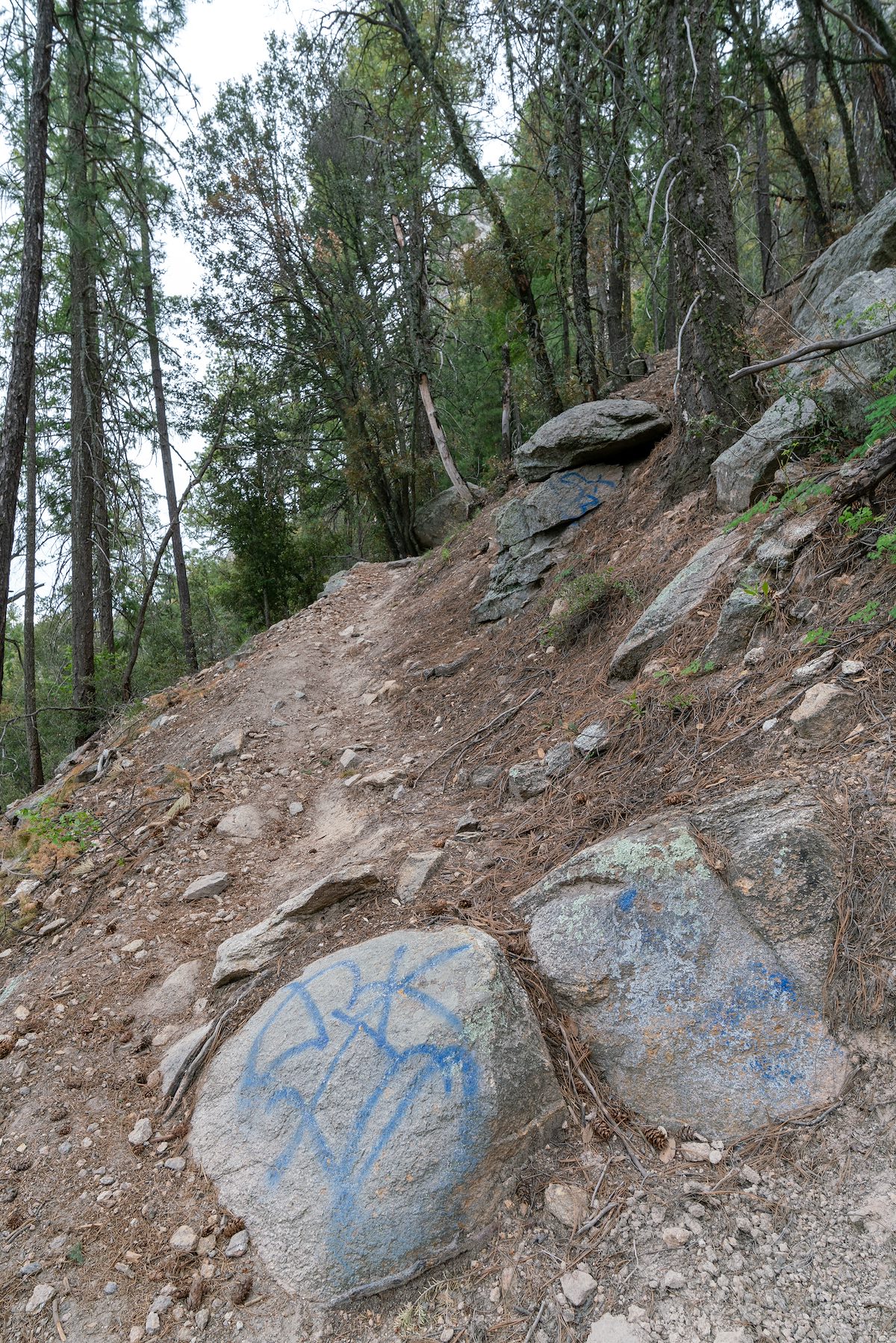 2019 May Graffiti on the Green Mountain Trail 02