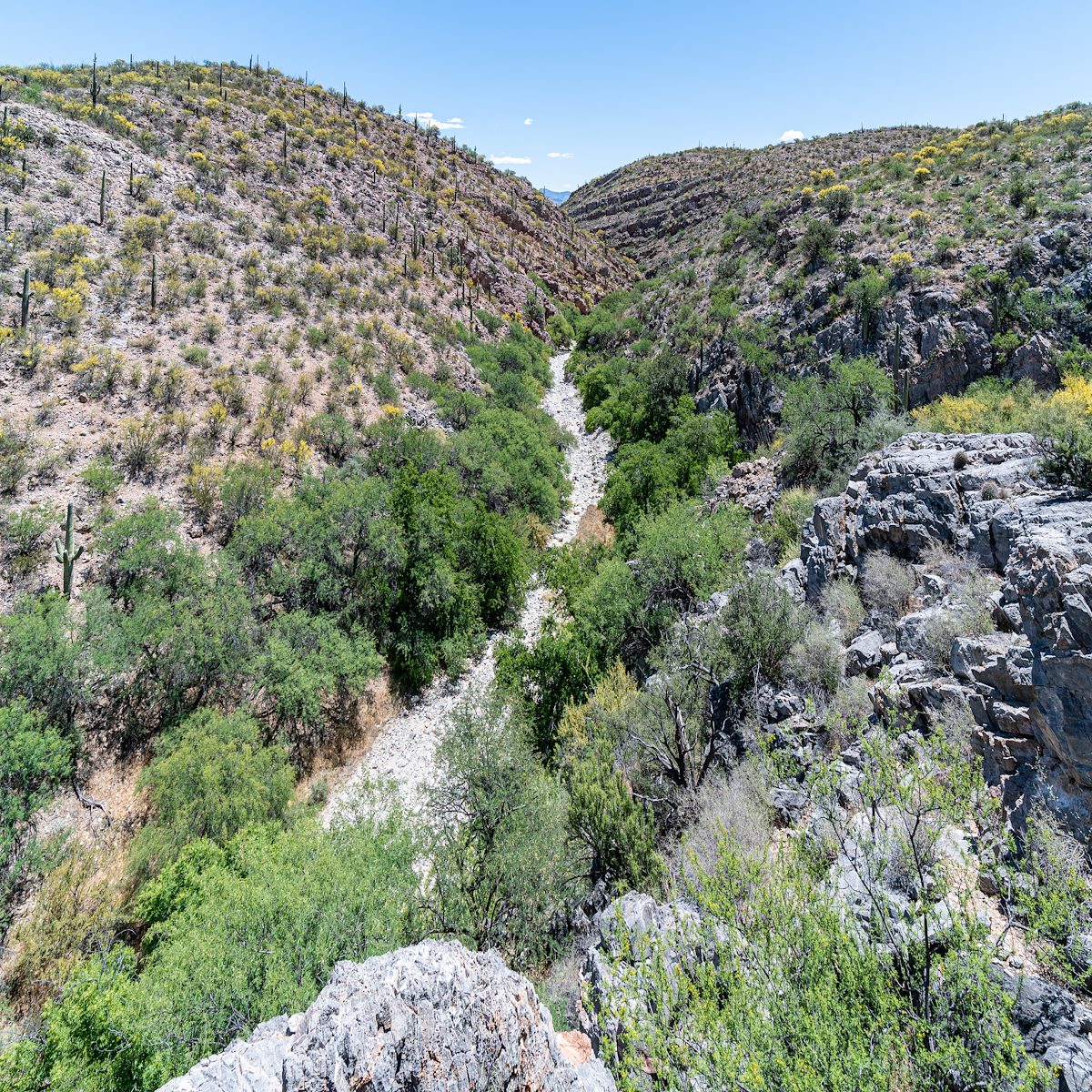 2019 May Looking down Edgar Canyon