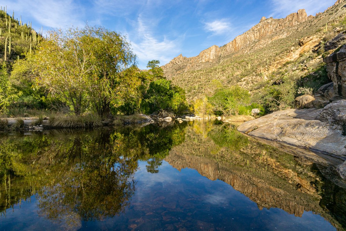 2019 November Sabino Canyon