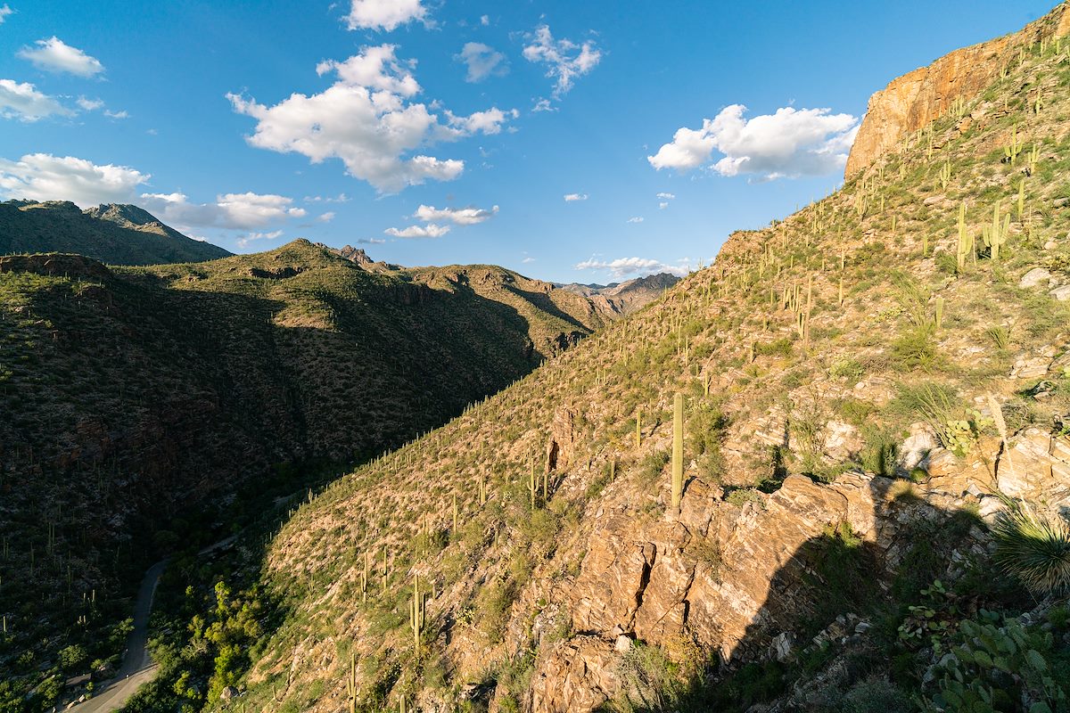 2019 October Looping down into Sabino Canyon
