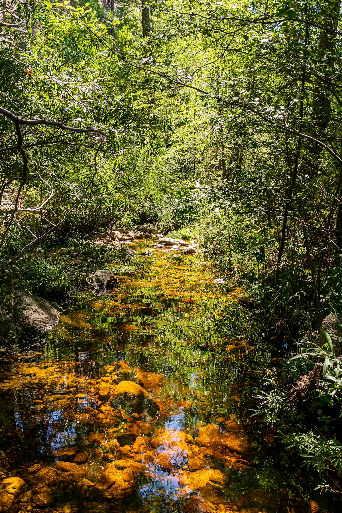 2019 September A Crossing on the Wilderness of Rocks Trail