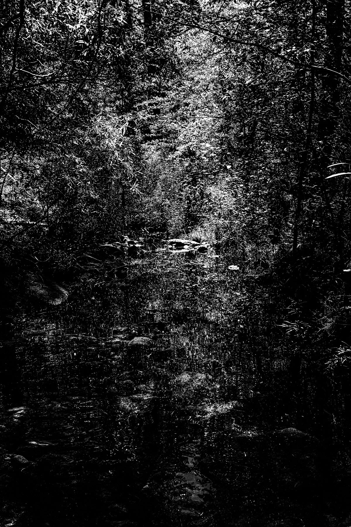 2019 September Points of Light