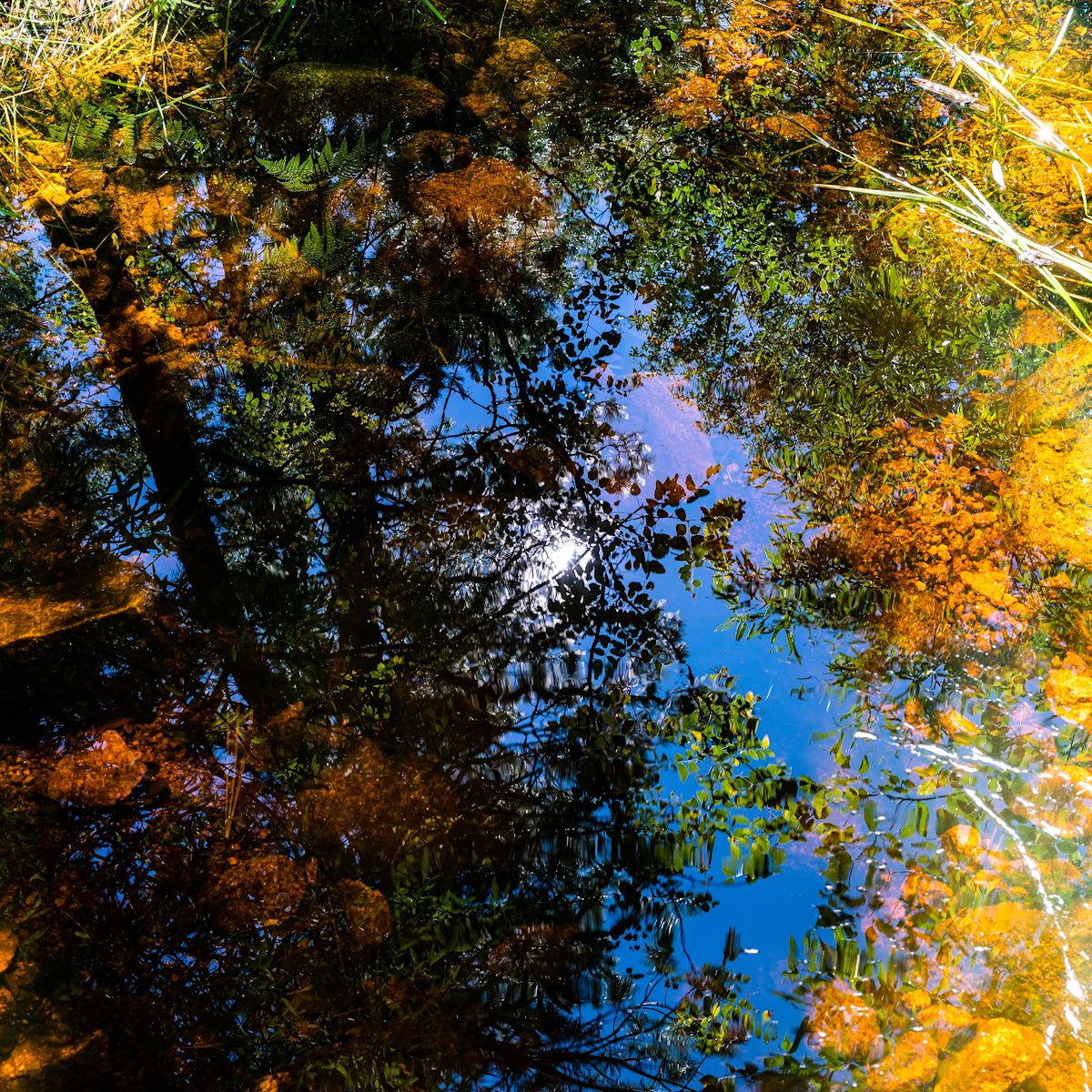 2019 September Reflection