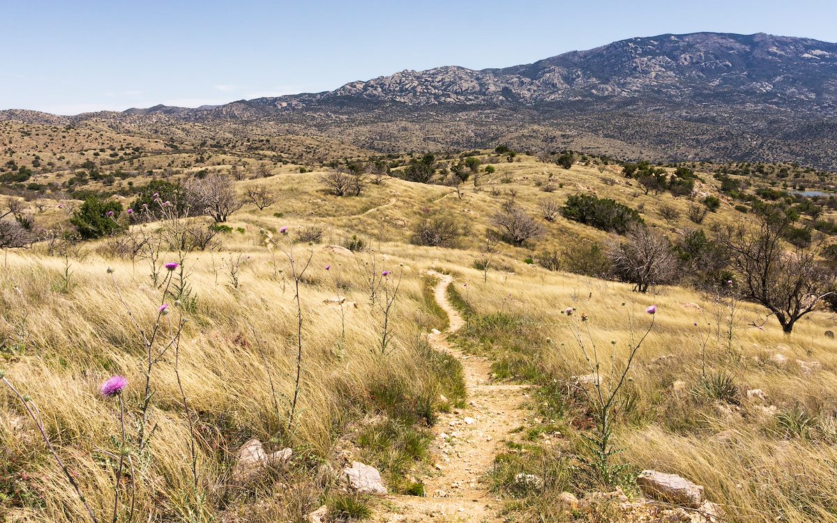 2020 April Bellota Trail looking towards Mica Mountain