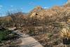 2020 August Canyon Loop Trail in Catalina State Park looking towards Golder Dome