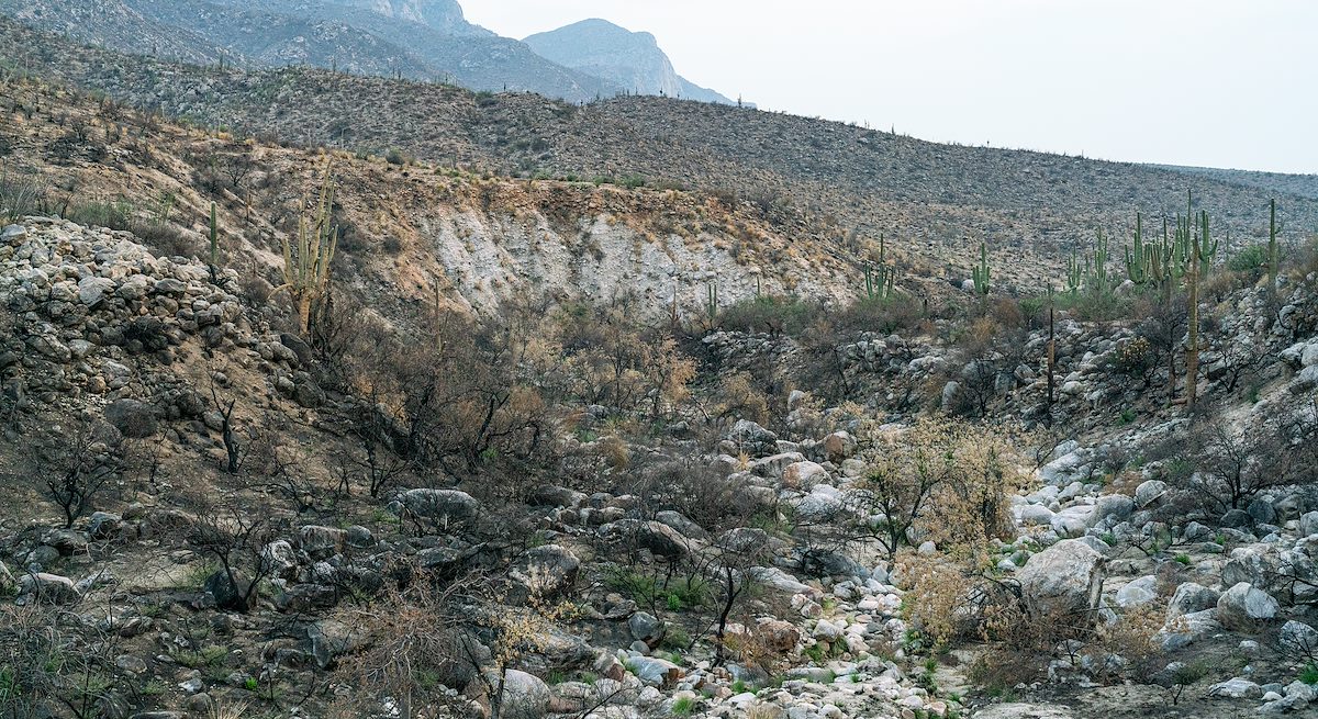 2020 August Looking Down Montrose Canyon after the Bighorn Fire