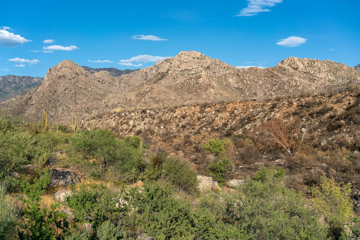 2020 August Looking over Sutherland Wash in Catalina State Park