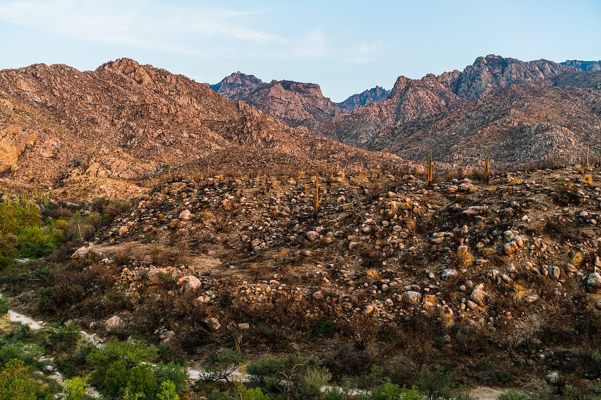 2020 August Looking over the Canyon Loop Trail into the Bighorn Fire Burn
