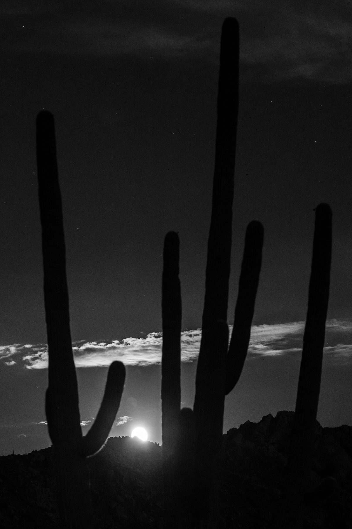 2020 August Moonrise on the Sutherland Trail in Catalina State Park