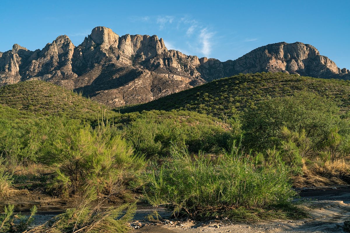 2020 August Pusch Ridge from the Canada del Oro in Catalina State Park