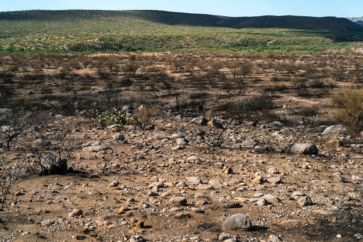 2020 August Rock covered hillside burned in the Bighorn Fire