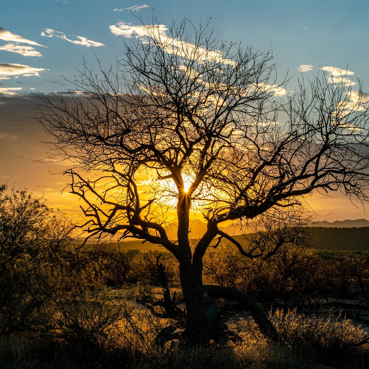 2020 August Sunset in Catalina State Park