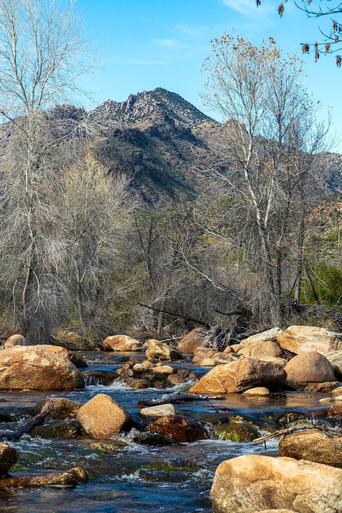 2020 February Sabino Canyon and Rattlesnake Peak