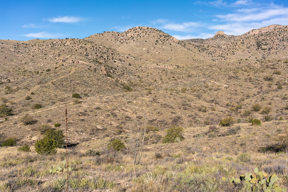 2020 January Bellota Trail with Airmen Peak in the upper right