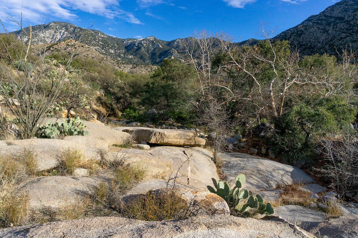 2020 January Cargodera Canyon just off the Suthland Trail