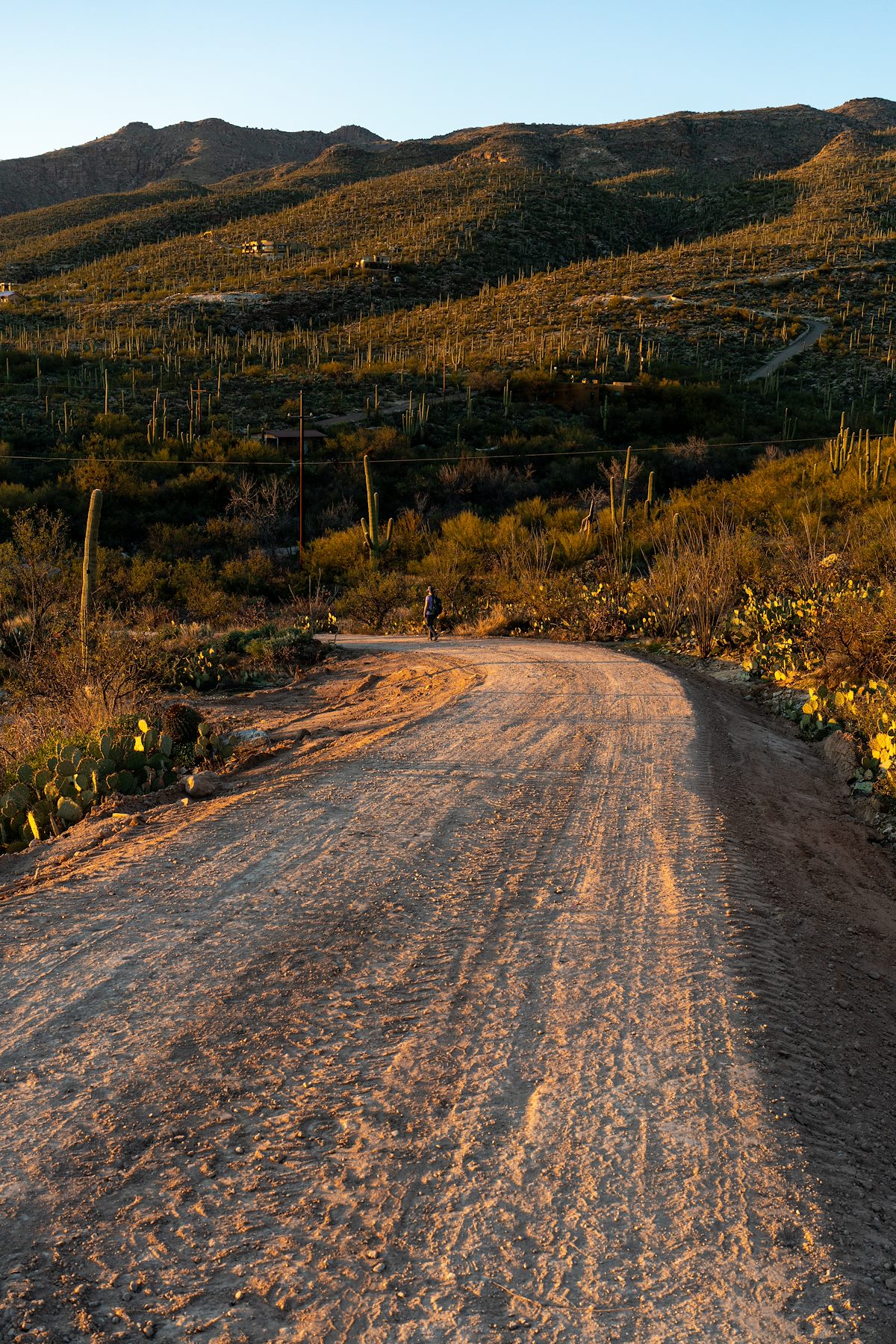 2020 January Fresh road work on the access to La Milagrosa and Agua Caliente Canyons