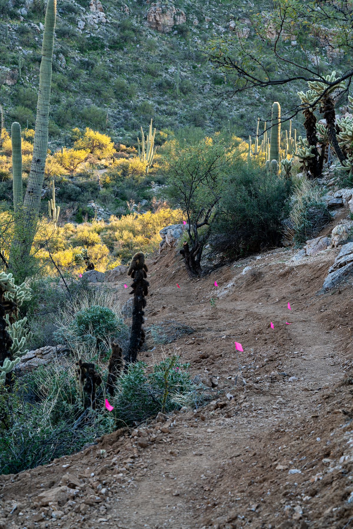 2020 January La Milagrosa Trail Reroute off of Private Property 01