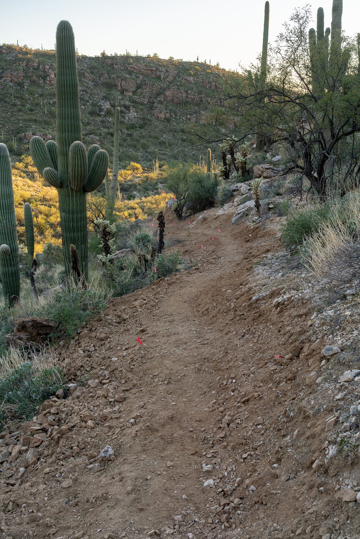 2020 January La Milagrosa Trail Reroute off of Private Property 02