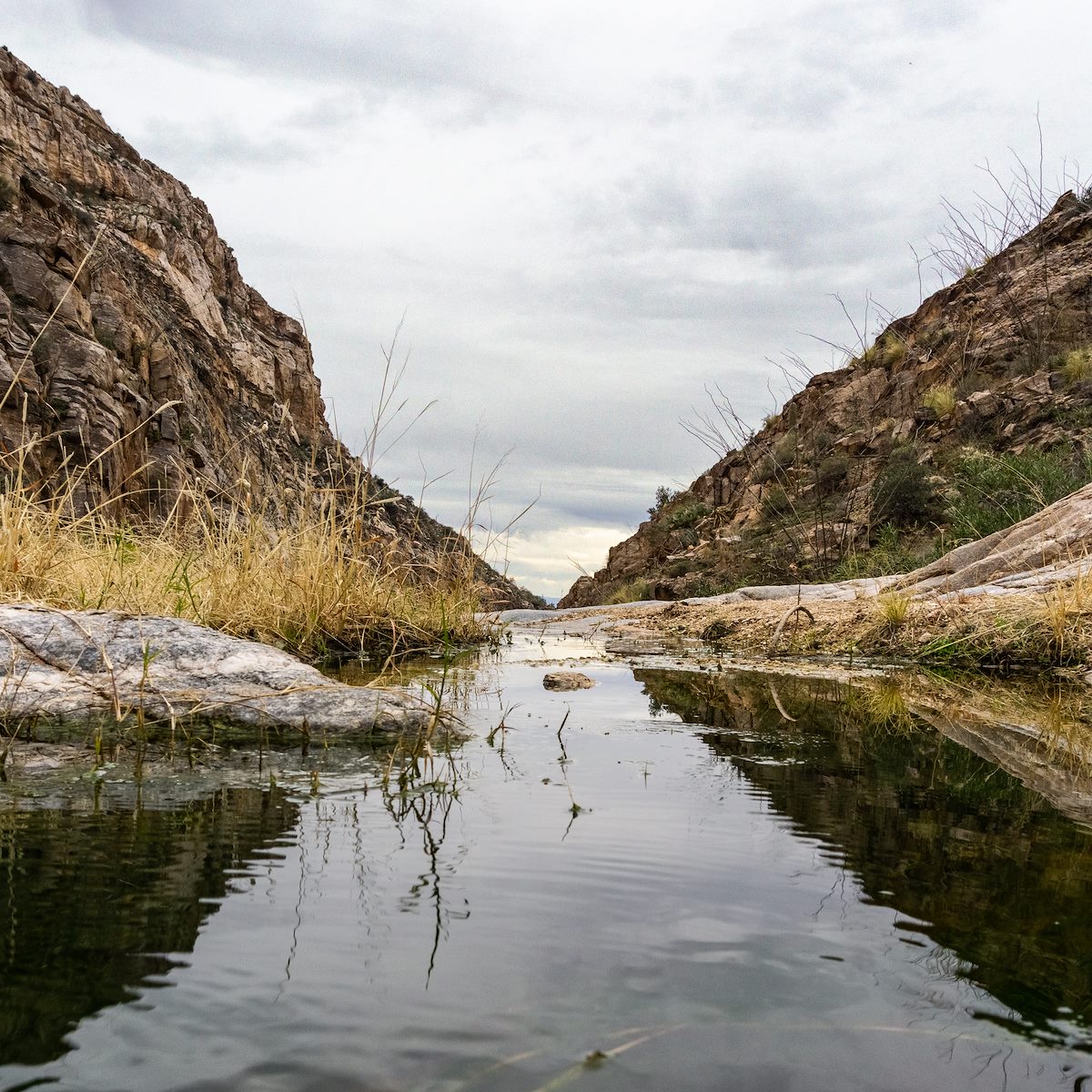 2020 January Looking down Pontatoc Canyon from a crossing on the Pontatoc Canyon Trail