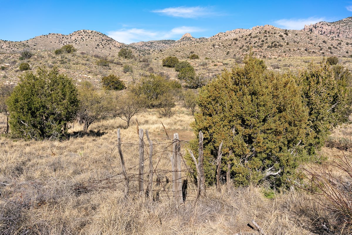2020 January Old corral off the Bellota Trail