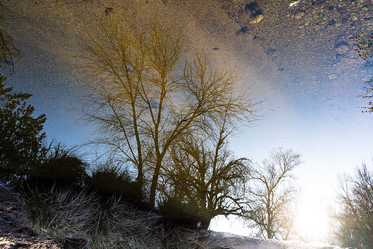 2020 January Reflection